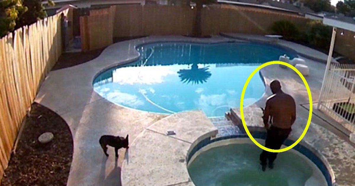 untitled 1 103.jpg?resize=1200,630 - Owner Saved His Pet Bulldog From Drowning In A Hot Tub