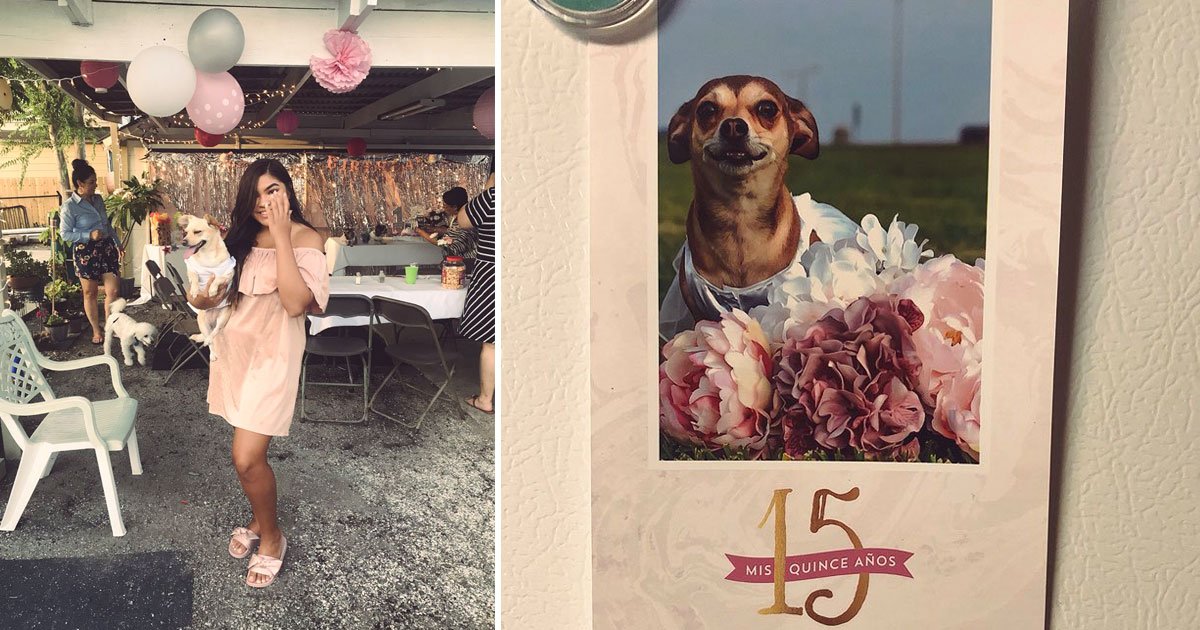 woman throw pink party for dog.jpg?resize=1200,630 - Une jeune femme habille son chihuahua avec une robe de princesse pour sa quinceañera