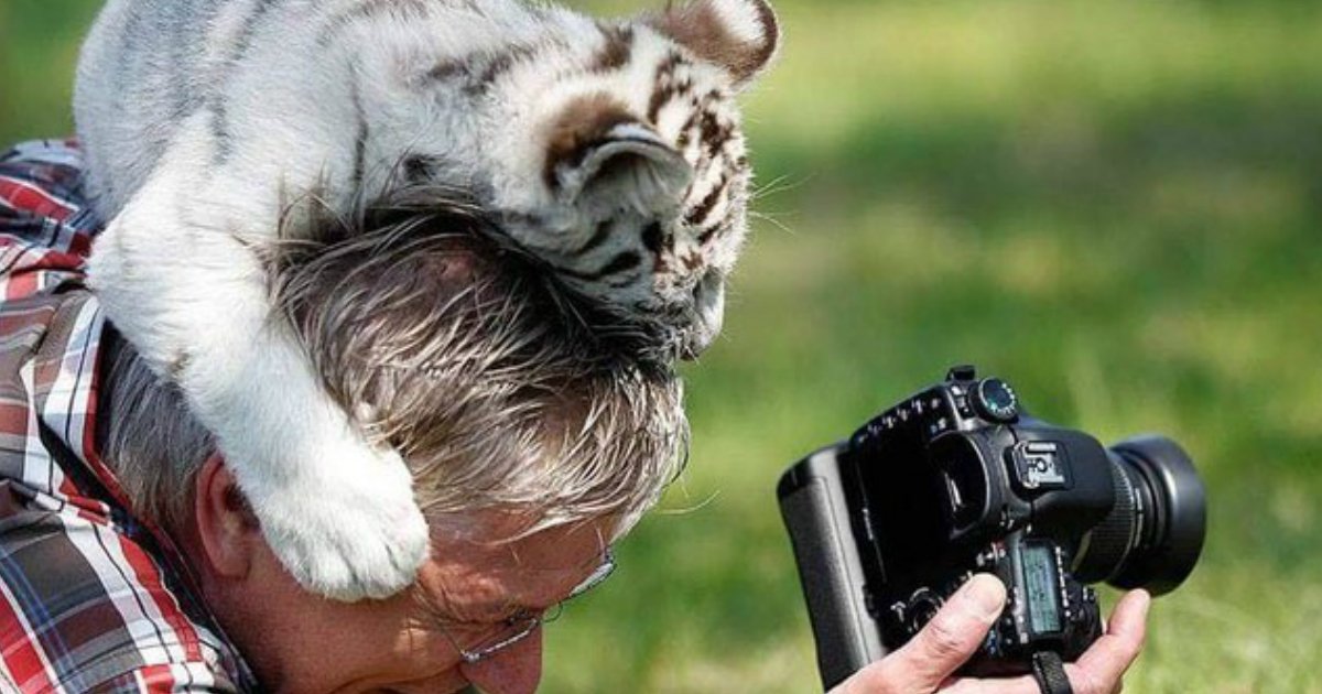 1 125.jpg?resize=412,232 - Animals Interrupting Wildlife Photographers Is Our New Favorite Thing [17 PHOTOS]