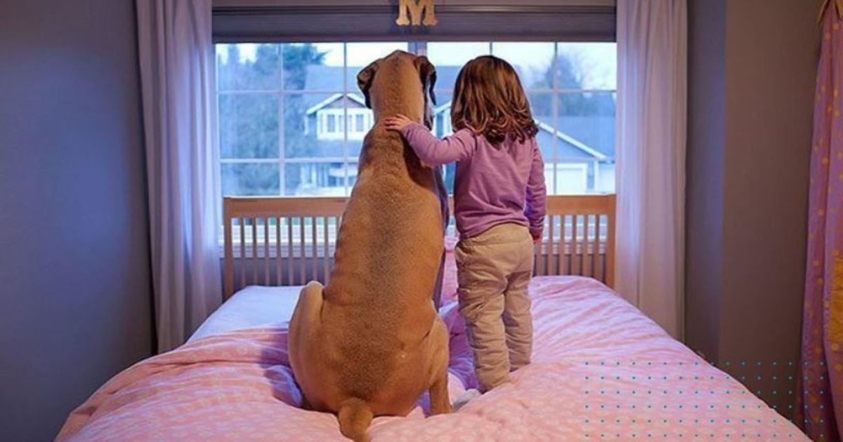 12 72.jpg?resize=412,275 - 20 Heartwarming Photos That Prove Why All Kids Should Grow Up With A Dog