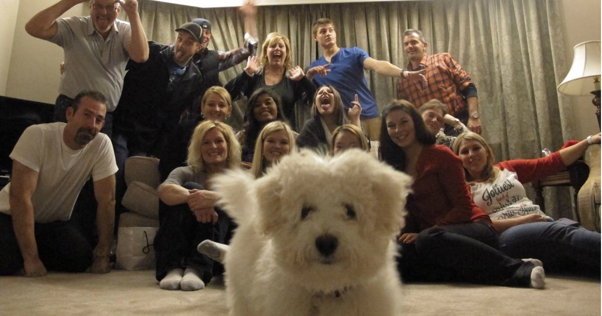 24 22.jpg?resize=1200,630 - 15 Dogs Who Have An Uncanny Ability To Photobomb A Photo At The Perfect Moment