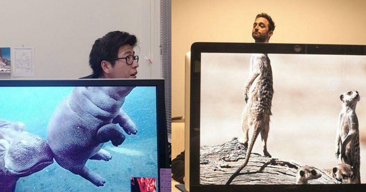 3 226.jpg?resize=412,275 - 50 Hilariously Genius Desktop Wallpapers That Will Make You Laugh