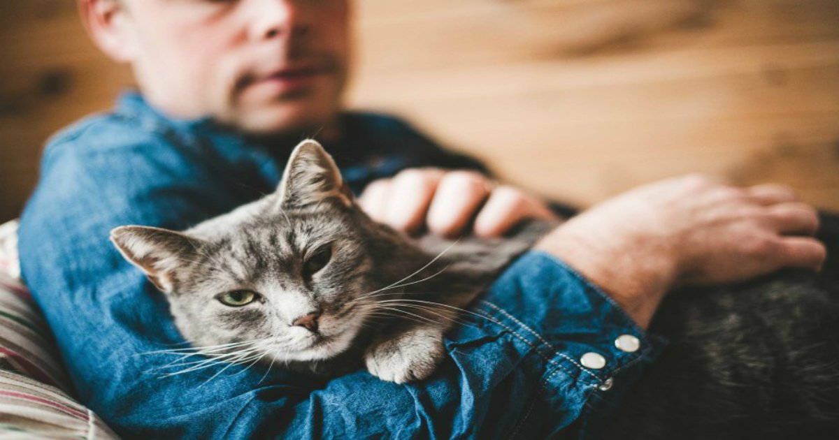 5.jpg?resize=412,275 - Decode Your Cat’s Behavior: 17 Things Your Cat Would Love to Tell You