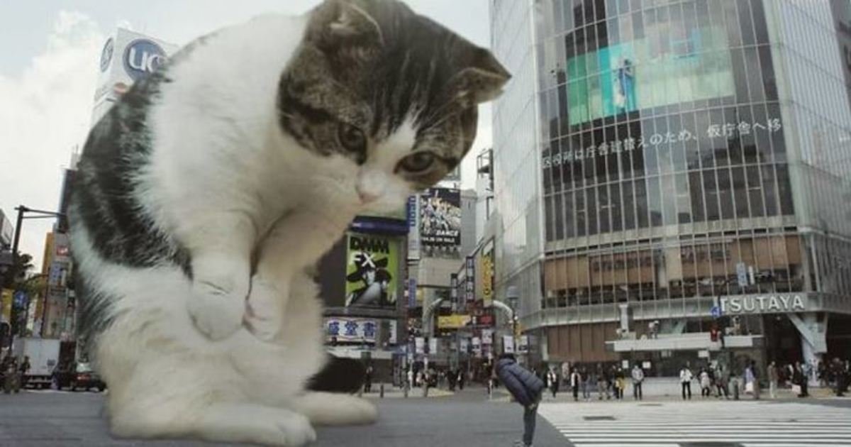 8 111.jpg?resize=412,275 - This Guy Photoshops Cats Into Giants And The Result Is Purrfect