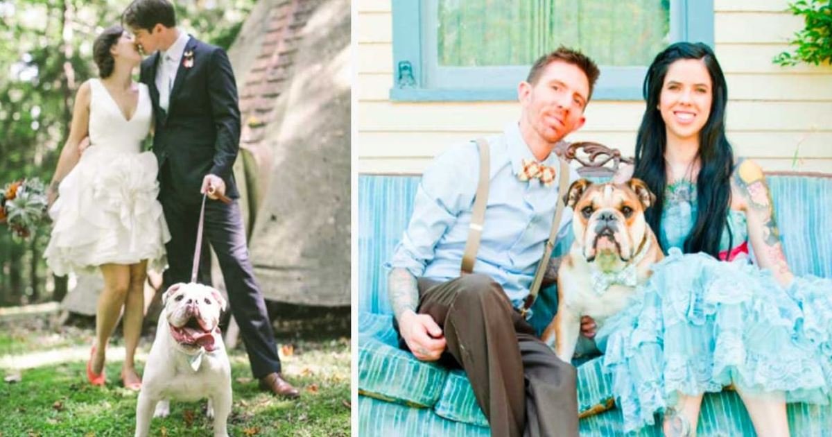 8 87.jpg?resize=412,232 - 10+ Hilarious Dogs Who Stole The Show At Their Owners’ Weddings