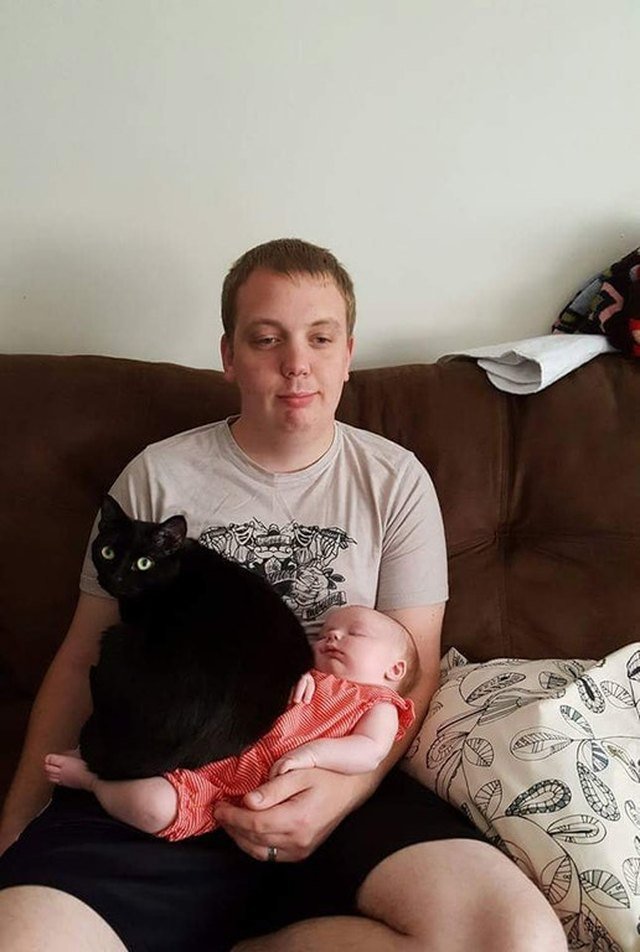 Cat sitting on baby in man