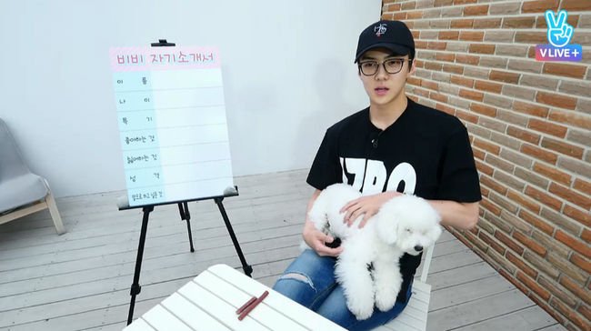 세훈 비비에 대한 이미지 검색결과