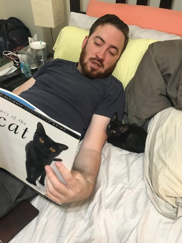 Man reading a book about cats to a kitten.