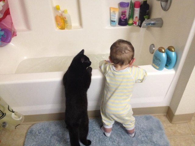 Cat and baby looking into bathtub.