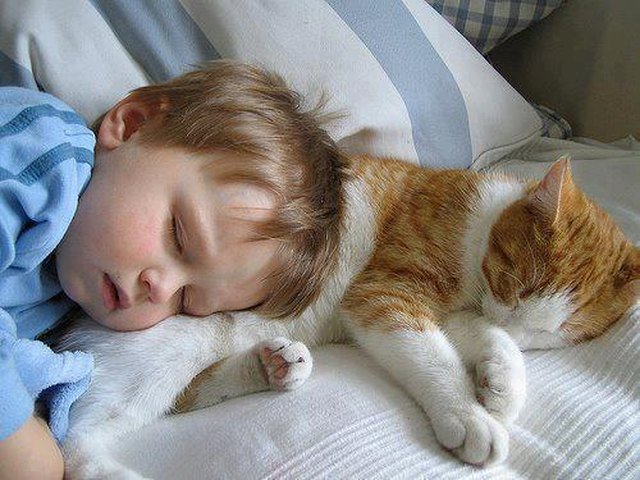 Cat and baby cuddling.