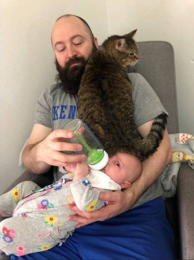 Dad feeding baby also there is a cat sitting on the baby