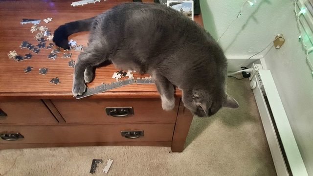 Cat sleeping on top of jigsaw puzzle.