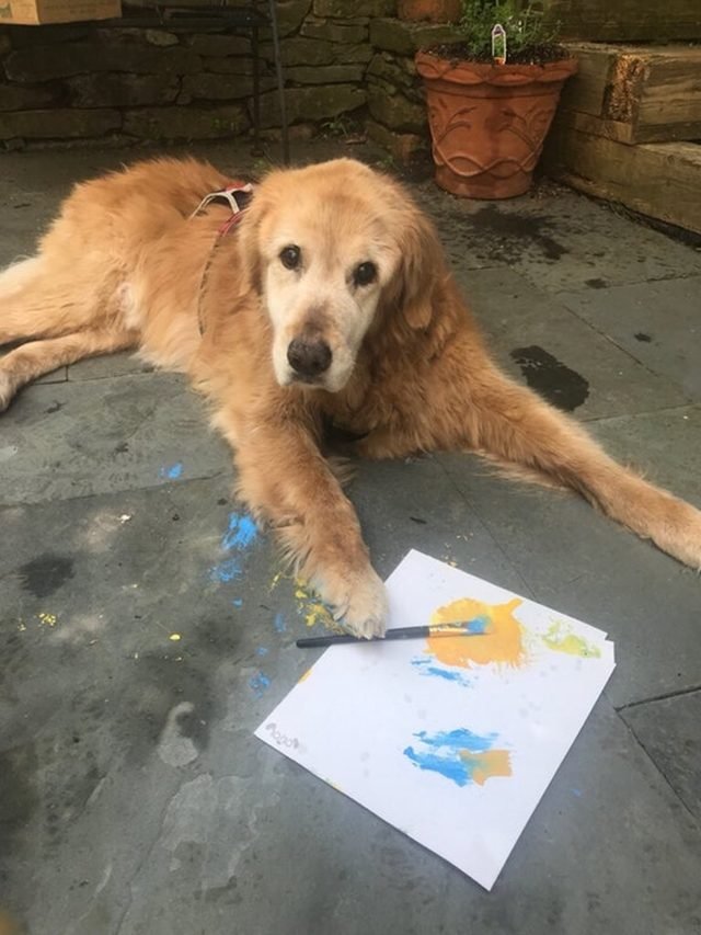 Dog with paintbrush and paper.