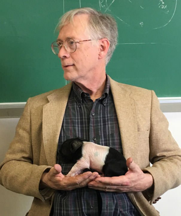 My Physics Teacher Hid A Piglet Inside His Shirt During Class. She’s So Young That She Needs External Body Heat To Keep Warm, And Has To Be Fed Every Couple Of Hours