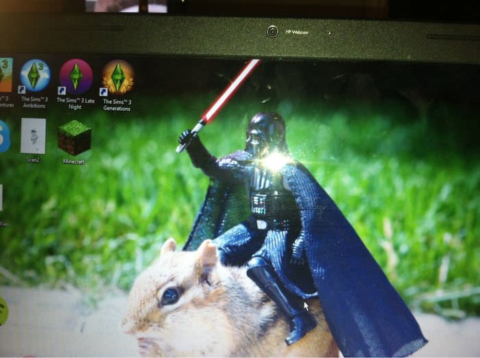 Roommate Brought Home A New Girl, This Is Her Desktop Background... I Think He