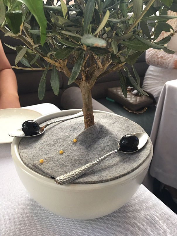 I Only Like My Olives To Be Served On A Silver Spoon And Placed Beneath A Miniature Olive Tree