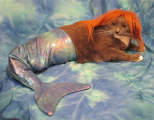 My Mom Sent Me An Email Yesterday With The Subject "She Won The Contest." This Is What She Sent