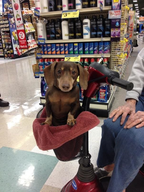  My Mom Said Some Creep Was Checking Her Out At The Grocery Store Today. She Snapped A Stealthy Pic Of The Culprit