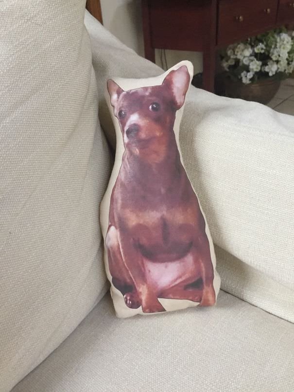 I Asked For New Pillows For My Couch, My Step Mom Made Me One Of My Dog