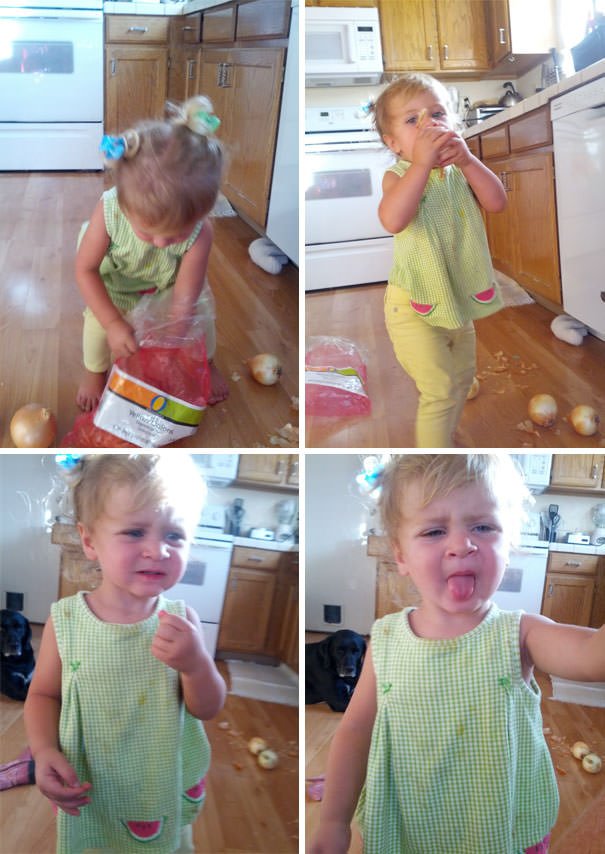 My Daughter Wanted An Apple. Like A Good Mom I Grabbed A Camera When She Pulled This Bag Off The Counter Herself