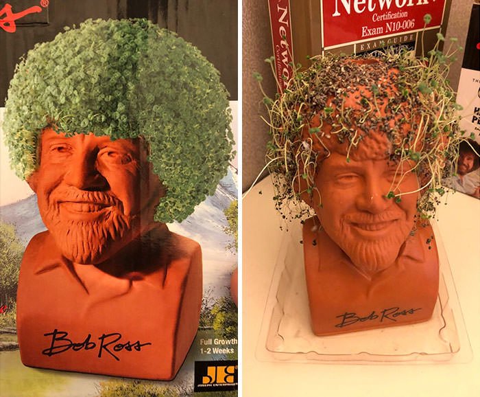  I Bought This Bob Ross Chia Pet... These Are Not Happy Trees
