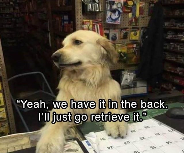 Dog shopkeeper telling a very bad pun