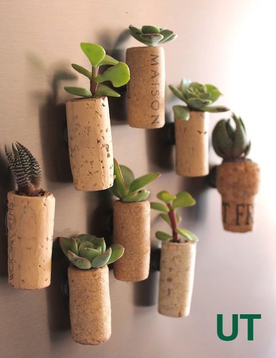 cork_planters_ut