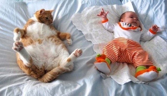 Cat and baby laying on their backs.
