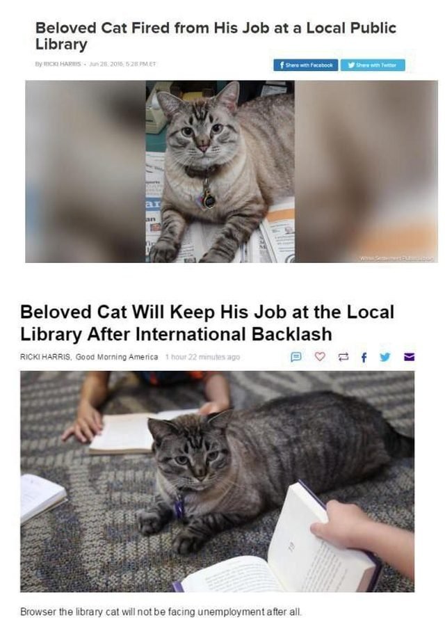 Headlines about cat being fired and then rehired at library.