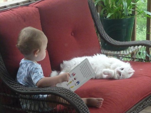 Baby with a book sitting on a couch with a cat.