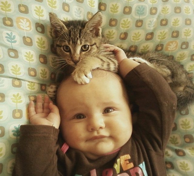 Kitten sitting on baby