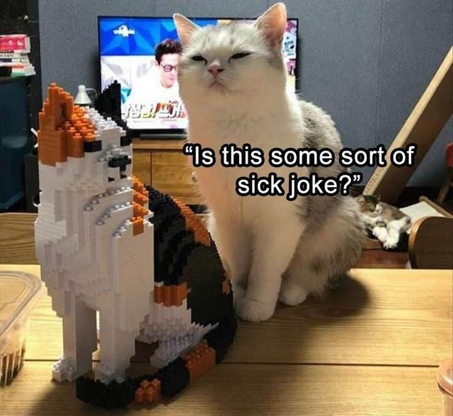 Cat made of Legos and very suspicious cat