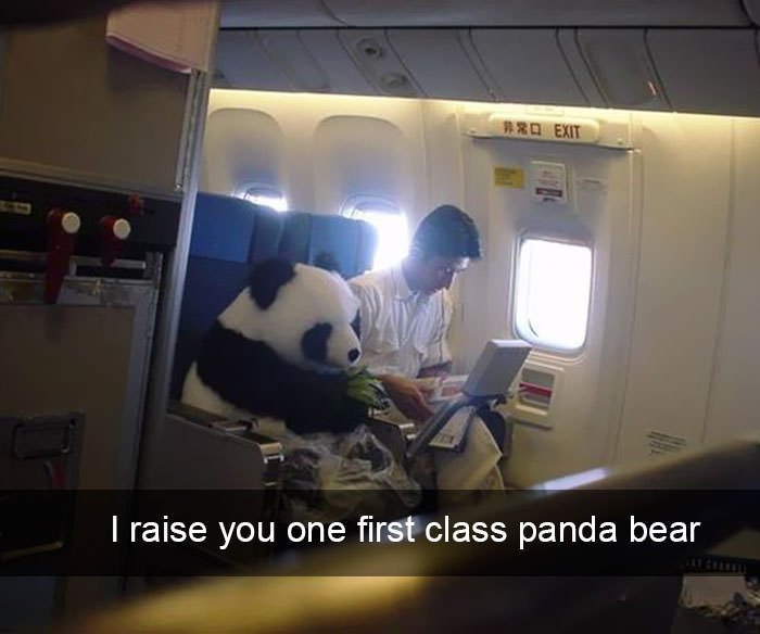 funny things happened on plane 