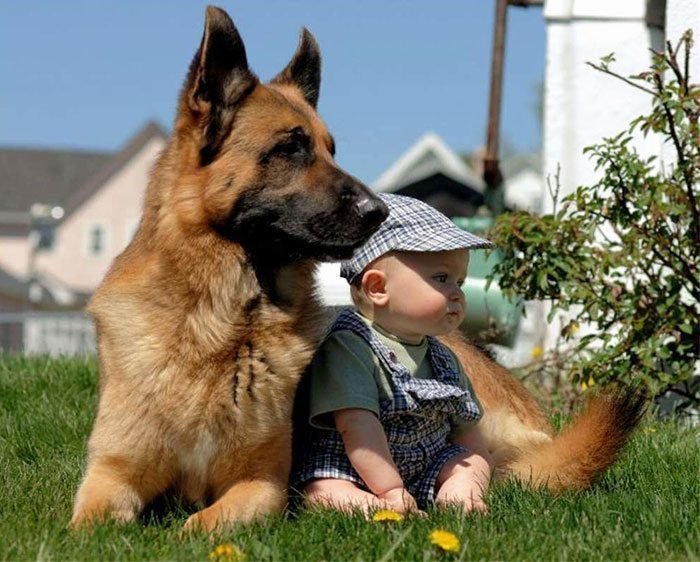 kids-with-dogs-72__700