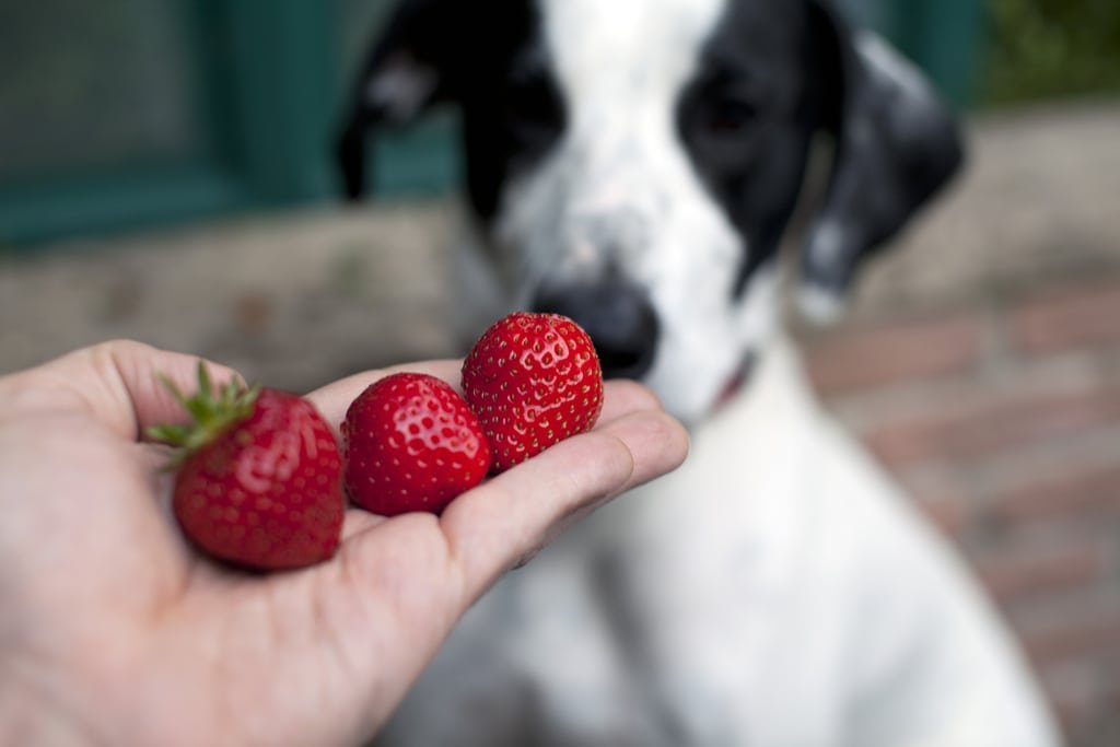 strawberries