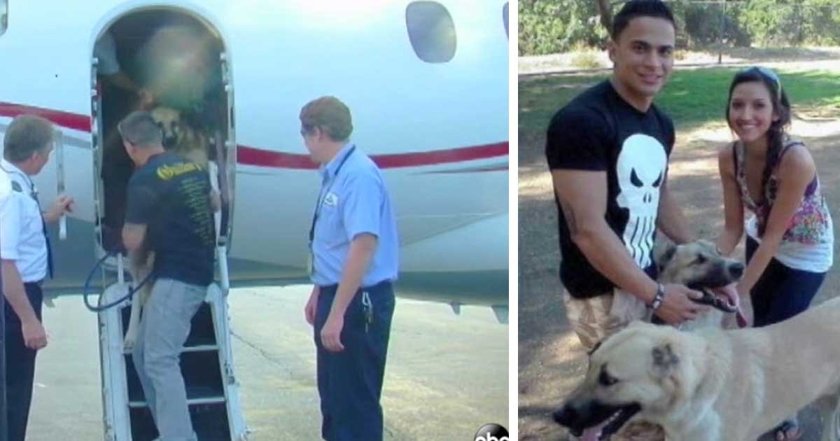 a 9.jpg?resize=412,275 - Wrigley Heiress Charters Private Jet For Marine When His Dogs Are Kept From Boarding The Flight