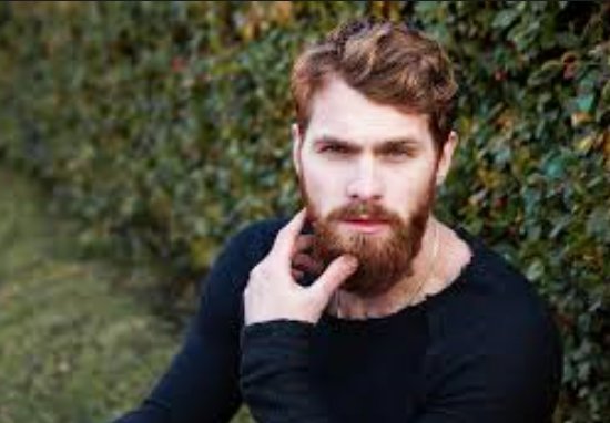 barbas-2