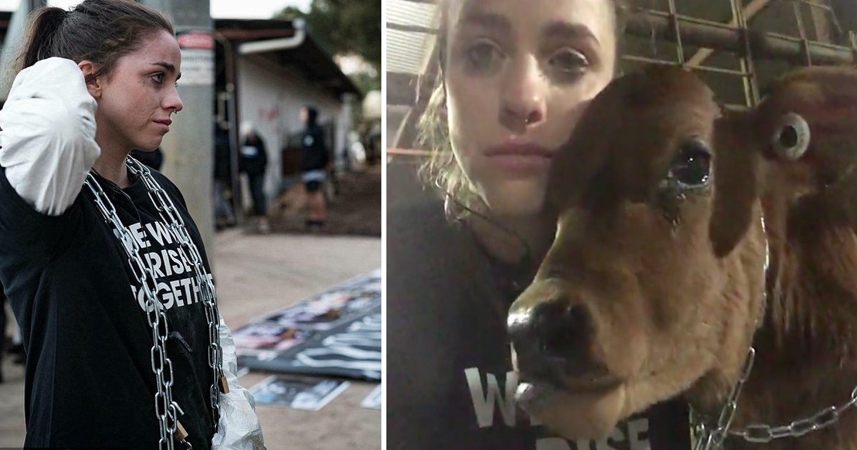 bjf.jpg?resize=1200,630 - Une jeune activiste végétalienne a filmée une vidéo avec un veau quelques instants avant qu'il ne soit abattu
