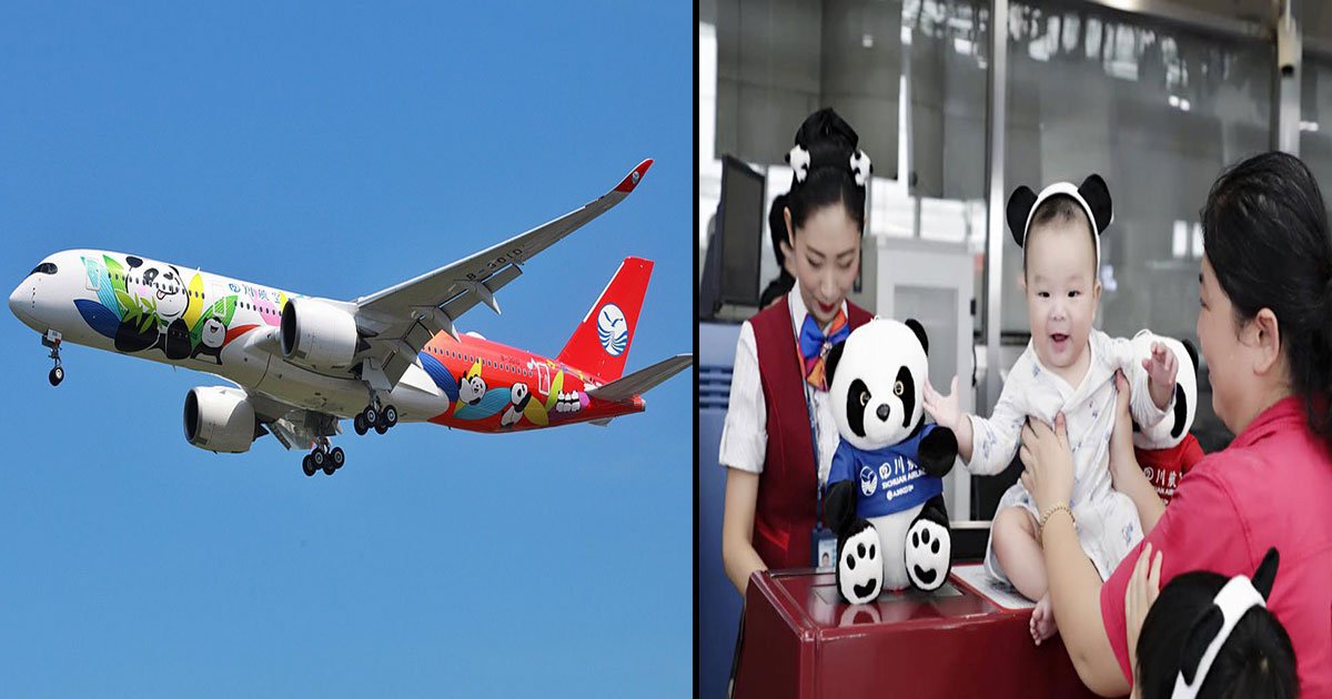 china 1.jpg?resize=1200,630 - La compagnie chinoise Sichuan Airways lance un avion sur le thème du panda