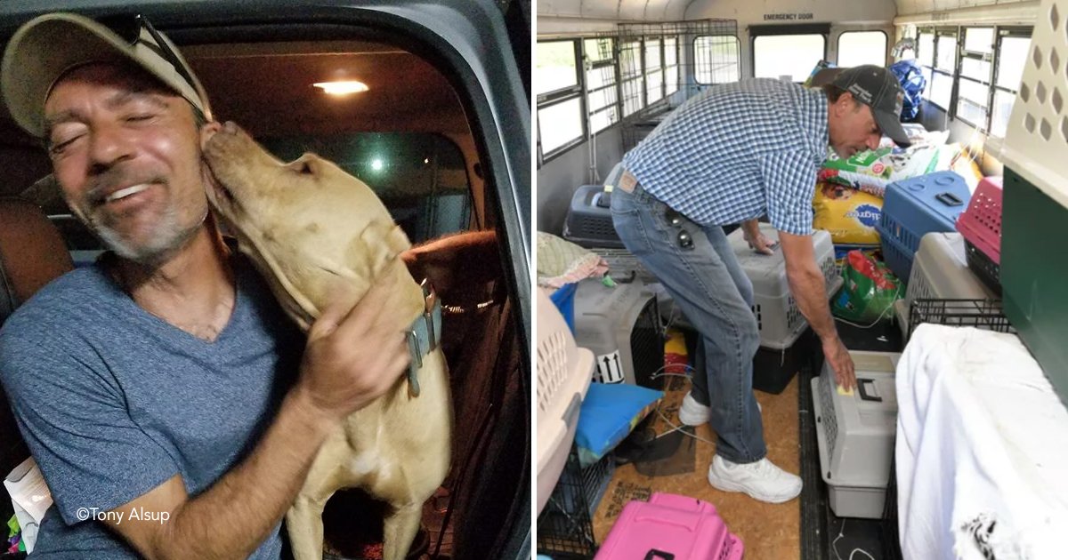 coverperro.jpg?resize=1200,630 - Un hombre rescató a 64 perros y gatos del huracán Florence con un autobús escolar