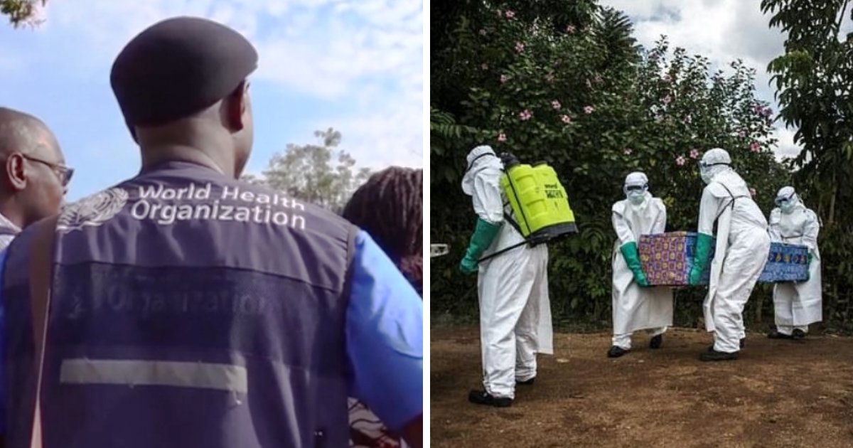 ebola6.png?resize=1200,630 - Personne ne va bien dormir cette nuit: l'Organisation Mondiale de la Santé a publié un avertissement Ebola