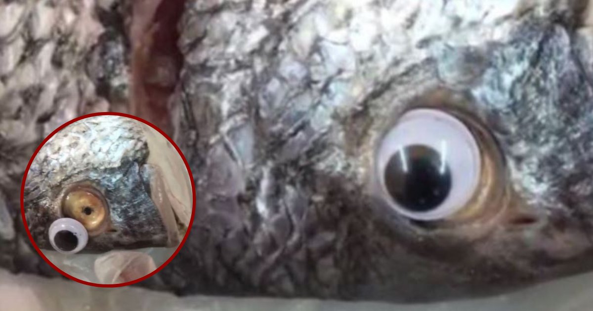 fish6.png?resize=1200,630 - Attention aux acheteurs: un supermarché surpris en train de coller des yeux écarquillés sur des poissons pour les rendre plus frais