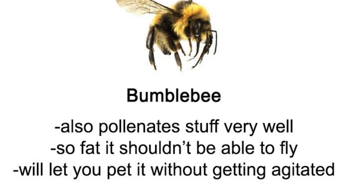 guide.png?resize=412,232 - Quelqu'un a écrit un guide hilarant sur les abeilles et les guêpes, un excellent moyen d'apprendre quelque chose de nouveau!