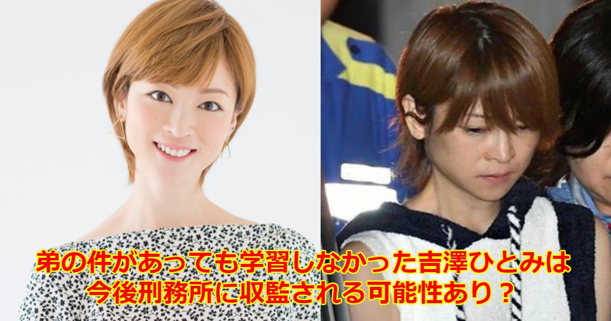 hitomi.png?resize=412,275 - すっかりお騒がせタレントとなってしまった元モーニング娘。吉澤ひとみの旦那&子供、逮捕までをまとめてみた