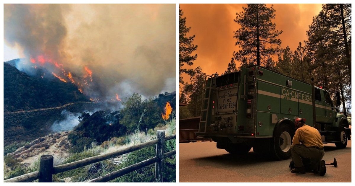 holy fire.jpg?resize=1200,630 - Les pompiers sauvent un faon épuisé au milieu des feux de forêt et leurs photos sont devenus virales