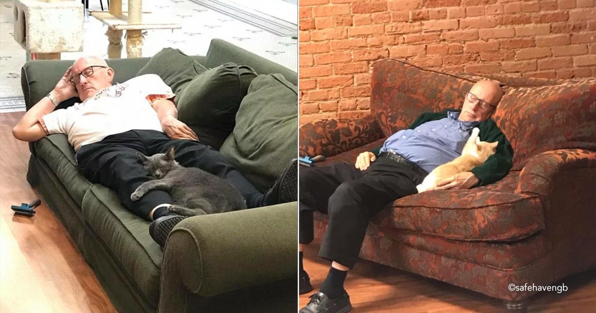 hombregato.jpg?resize=1200,630 - Un hombre de 75 años se ofrece todos los días como voluntario para tomar siestas con los gatos de un refugio de animales