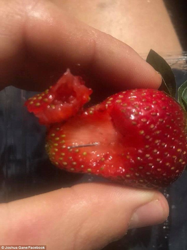 L'annonce intervient alors que des aiguilles ont été trouvées insérées dans plus de fraises en Australie du Sud et en Nouvelle-Galles du Sud pendant le week-end