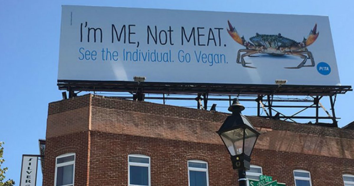 peta war.jpg?resize=412,232 - Le restaurant Jimmy's Famous Seafood a critiqué la PETA après qu'ils aient posté un panneau exhortant les gens à ne pas manger de crabes