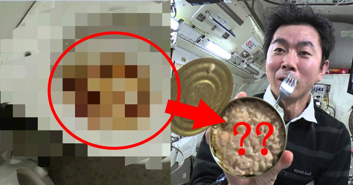 popp.jpg?resize=412,275 - 自身の「うんこ」を宇宙食として変えられる時代が来るのもそう遠くはない？