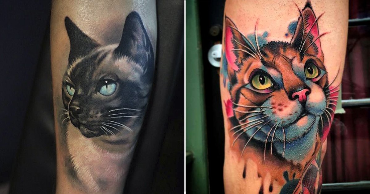 port.jpg?resize=412,232 - 20+ Preciosos tatuajes de gatos ideales para los amantes de los felinos
